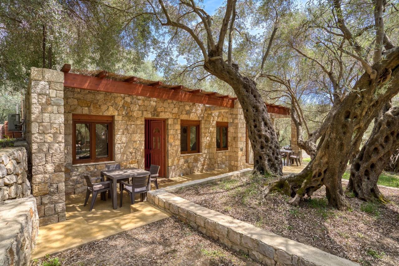 Appartement Stonehouse In Olives